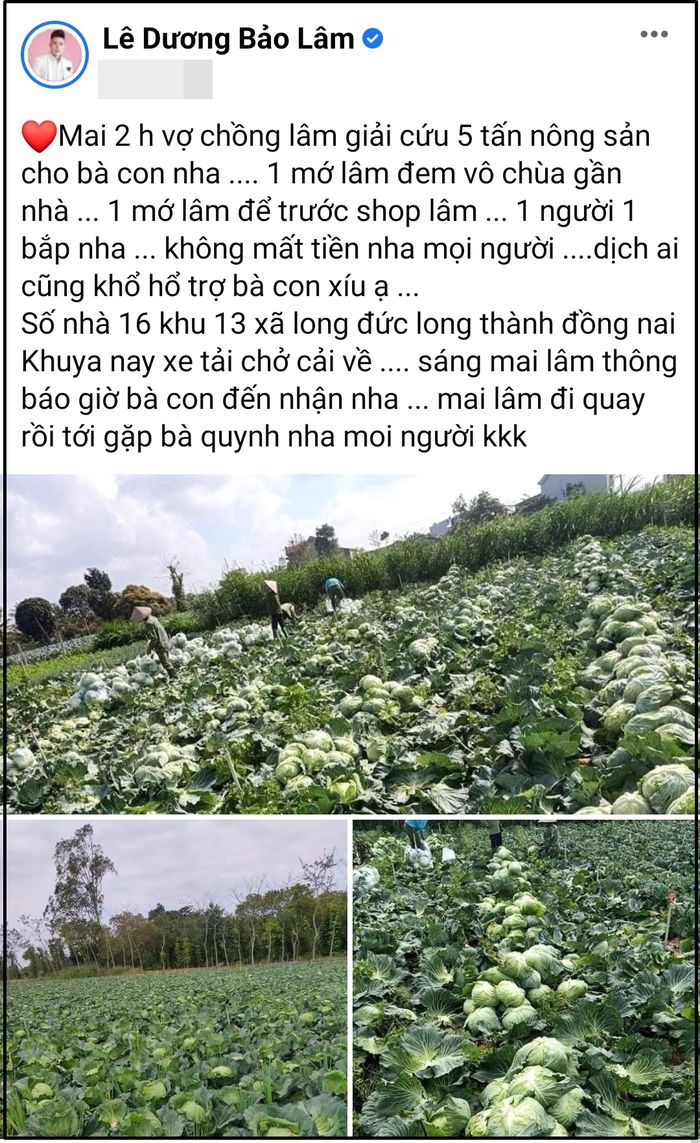 Đại Nghĩa góp 44 triệu giải cứu 25 tấn nông sản ở Hải Dương