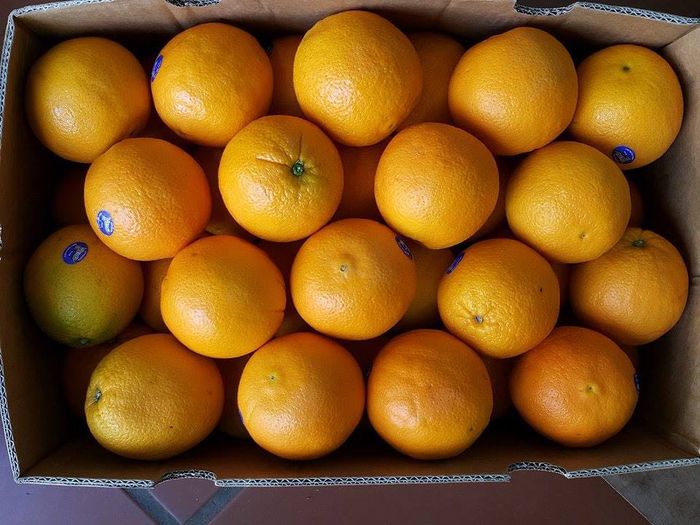 4 người đàn ông ăn 60kg quýt trong vòng 30 phút