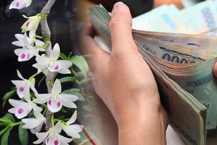 Bạn trai mới quen đánh tiếng mượn 30 triệu, cô gái xử trí quá gọn