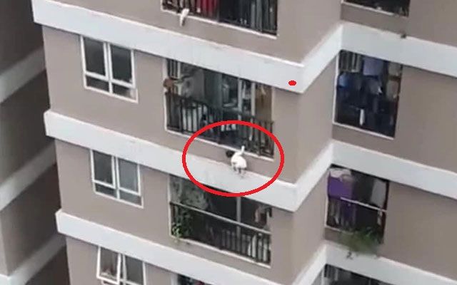 Tình hình sức khỏe của bé gái rơi từ tầng 12