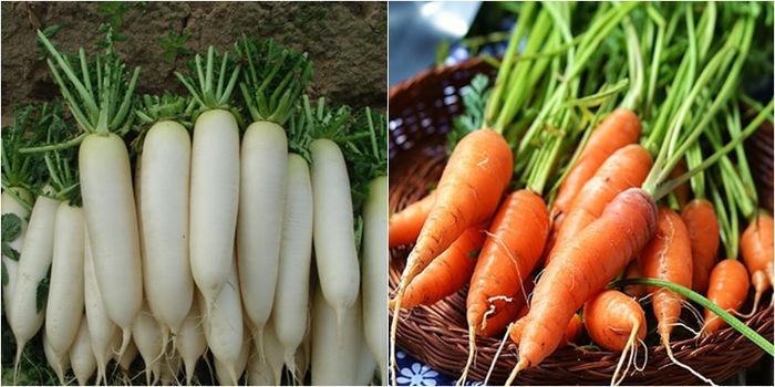 Tại sao không nên ăn cùng Cà rốt và củ cải?