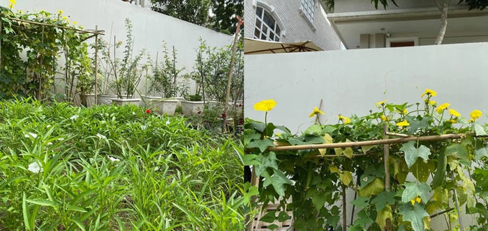 Cận cảnh biệt thự sân vườn của Quý Bình và bà xã doanh nhân