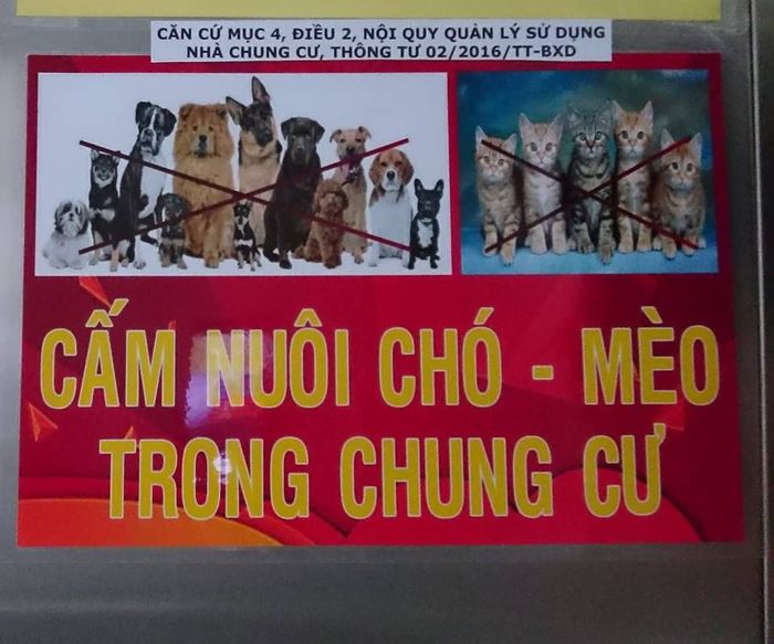 Chuyện nuôi thú cưng ở chung cư và tranh cãi không hồi kết