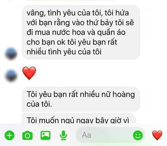 Mẹ đơn thân bị trai Tây lừa 12 triệu