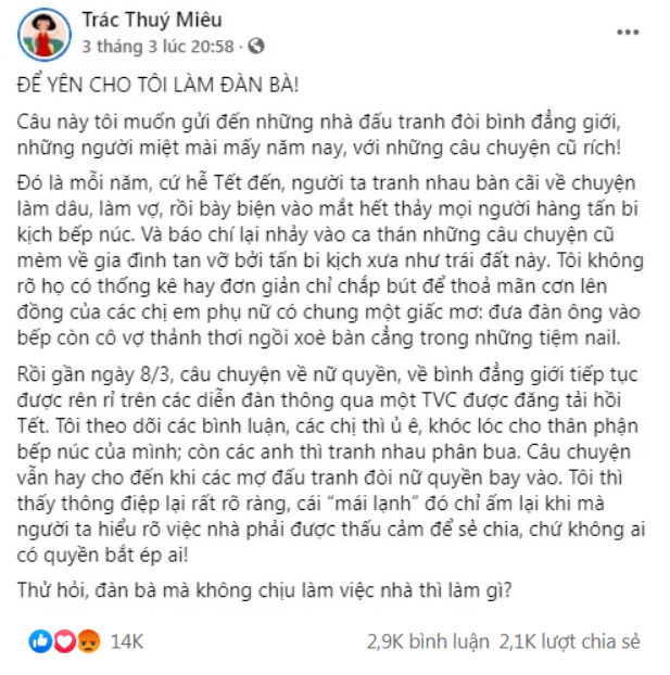 Trác Thúy Miêu gây tranh cãi về làm việc nhà của đàn bà