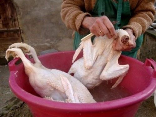 Mẹ chồng giành chăm cháu, bênh con dâu hơn con trai