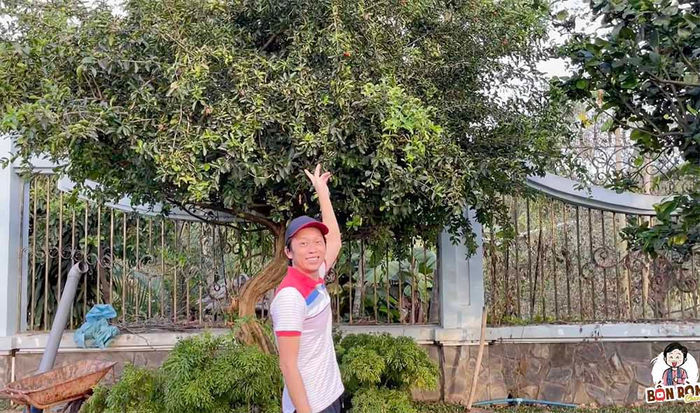 Nghệ sĩ Hoài Linh kể chuyện làm Youtuber