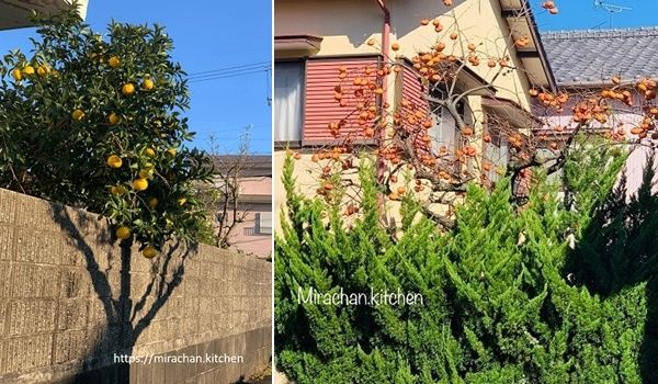 Nghèo ở biệt thự, giàu ở chung cư: Những điều lạ lùng chỉ có ở Nhật