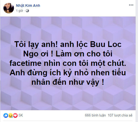 Nhật Kim Anh giành được quyền nuôi con