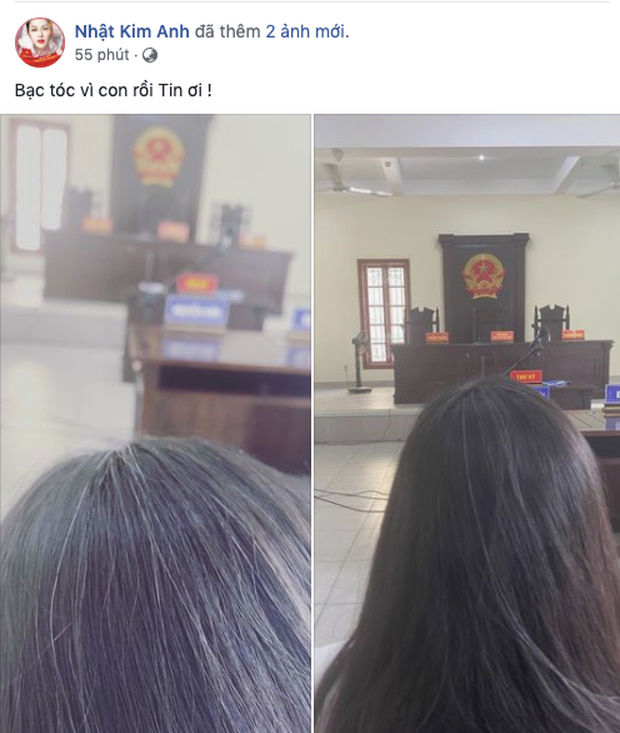 Nhật Kim Anh giành được quyền nuôi con