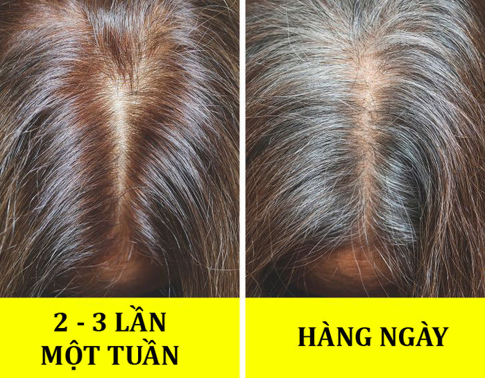 Tác hại của việc gội đầu quá nhiều