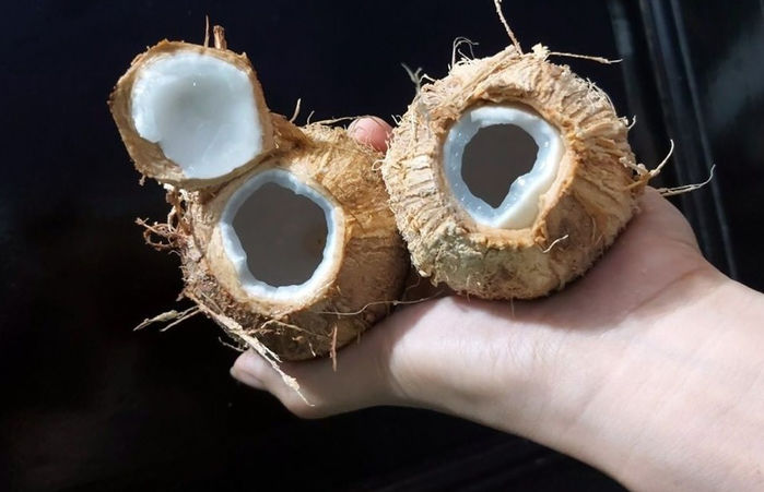 5 loại quả tí hon nhập về Việt Nam dù giá “chát” vẫn cháy hàng