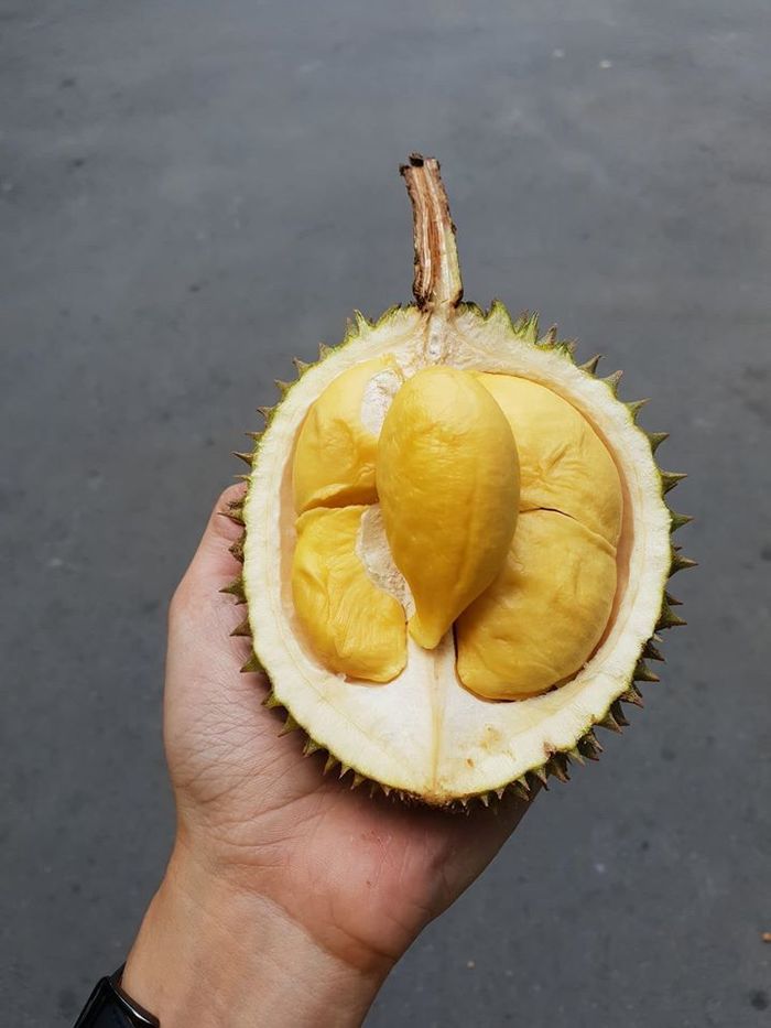 5 loại quả tí hon nhập về Việt Nam dù giá “chát” vẫn cháy hàng