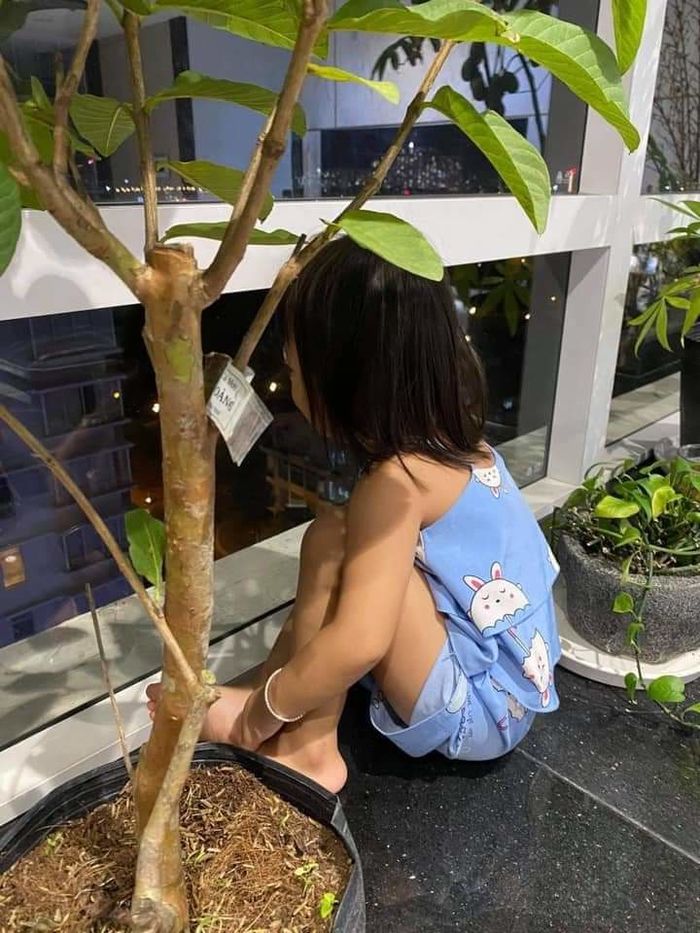 Con nuôi thứ 8 của Đỗ Mạnh Cường ngày càng sành điệu