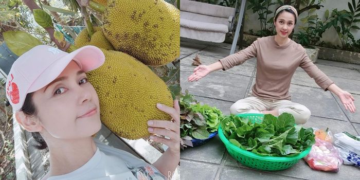 Cuộc sống hiện tại của người đẹp Tây Đô Việt Trinh