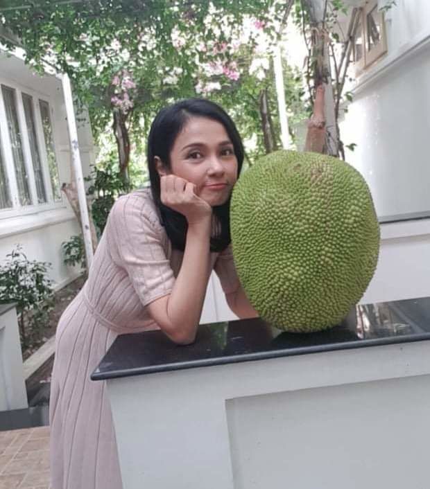 Cuộc sống hiện tại của người đẹp Tây Đô Việt Trinh