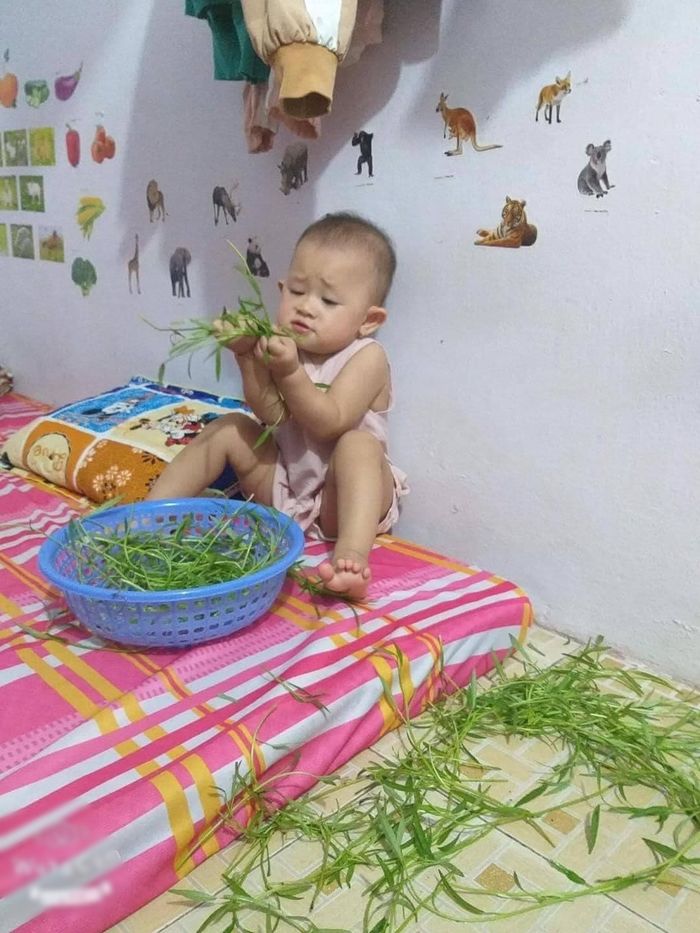Đẻ con gái nuôi cho nhàn, nhìn cảnh này, bố mẹ nào cũng chạy dài