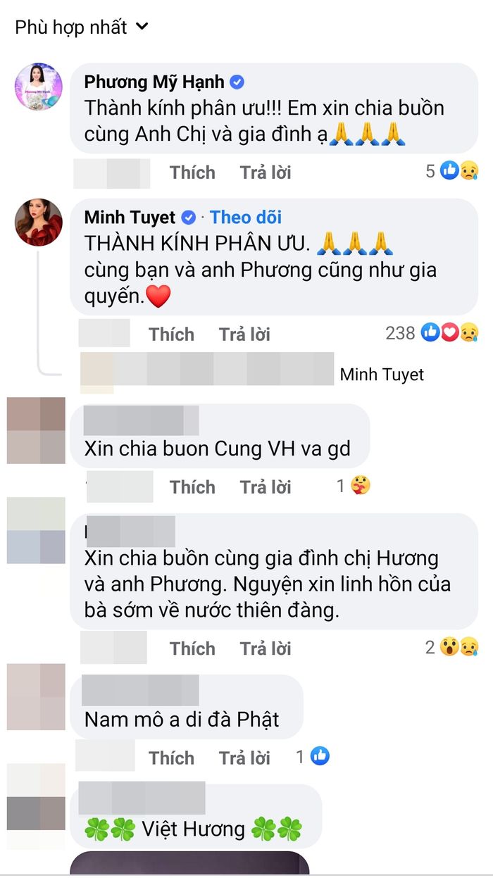 Sao Việt gửi lời chia buồn khi mẹ chồng Việt Hương qua đời