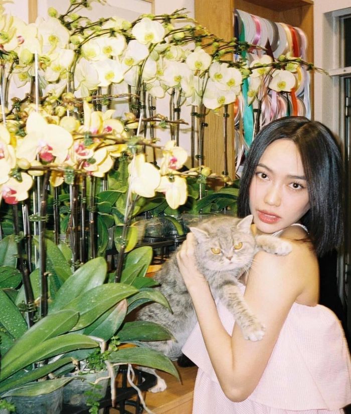 Mỹ nhân Việt hóa nàng thơ TVB qua ảnh phim: Bất ngờ với Diệu Nhi
