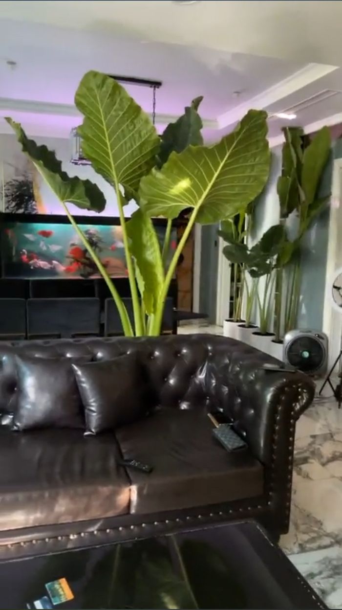 Nathan Lee livestream từ khuya đến sáng sớm thách thức