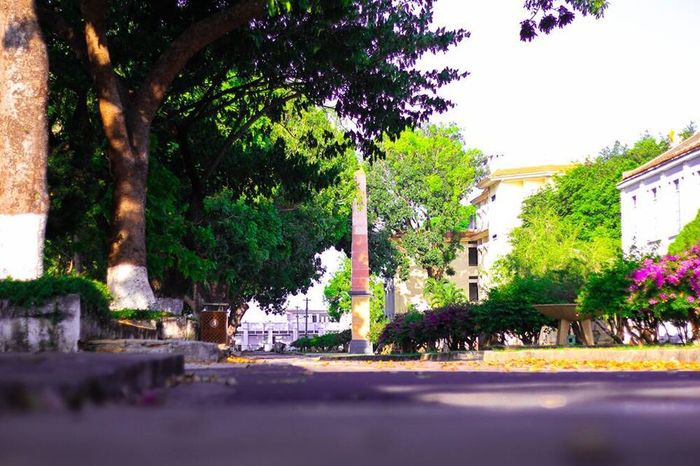 Ngôi trường thuộc top có khuôn viên đẹp nhất VN với views biển xịn sò
