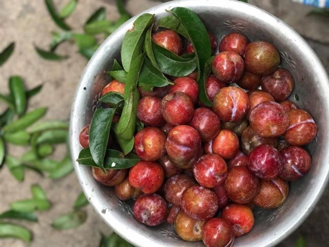 Những loại trái cây ai cũng thích ăn nhưng cần phải hạn chế trong hè