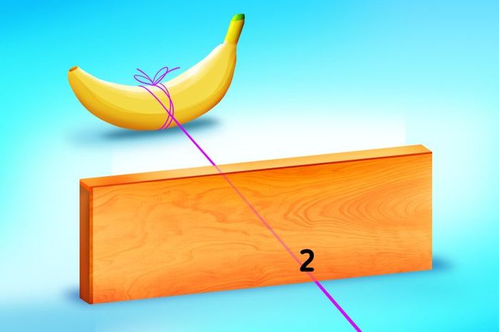 5 câu đố vui test IQ của bạn