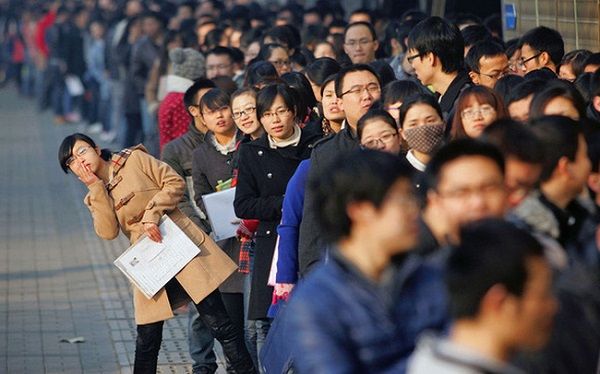 Trả lương dưới 10 triệu, sinh viên lên mặt: Không nhận dưới ngàn đô