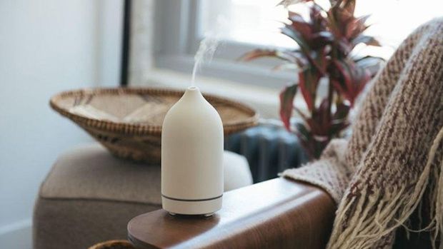 Xông tinh dầu đuổi muỗi đúng cách để tránh bị ngộ độc