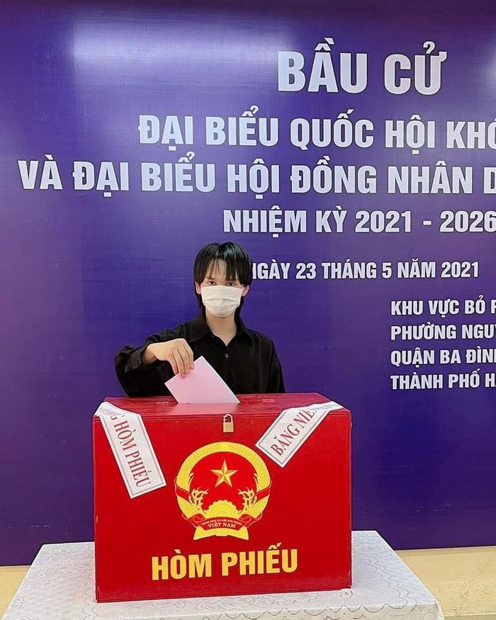 Gia đình Thúy Diễm, Hoa hậu Tiểu Vy và nhiều sao Việt nô nức đi bầu