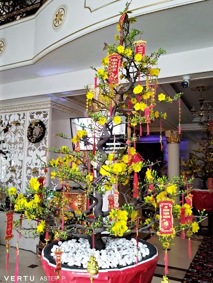Bên trong biệt thự của đại gia Phương Hằng: Đâu cũng thấy mùi tiền