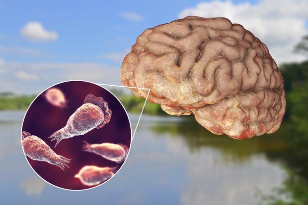 Bệnh NTK Nhật Dũng mắc phải rất nguy hiểm, lưu ý triệu chứng: sốt cao