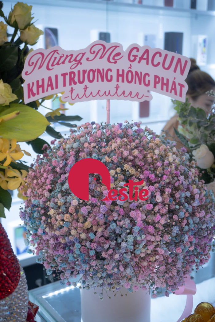 Cindy Lư khai trương kinh doanh: Hoài Lâm gửi hoa, Đạt G đến chúc mừng