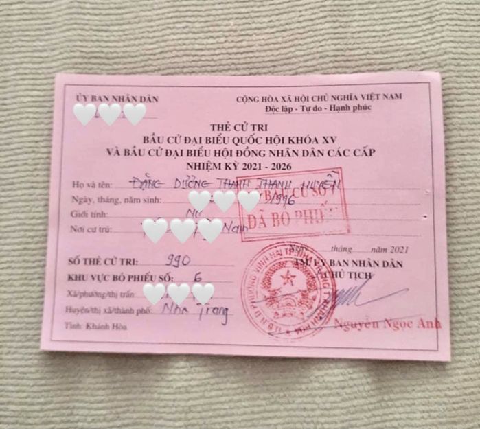 Gia đình Thúy Diễm, Hoa hậu Tiểu Vy và nhiều sao Việt nô nức đi bầu