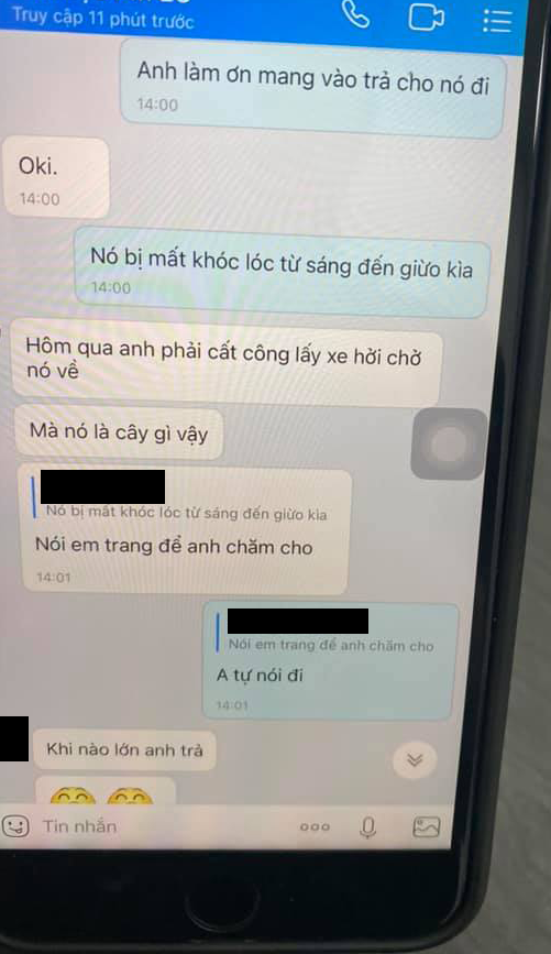 Khóc hết nước mắt vì mất cây bơ yêu quý và cái kết bất ngờ