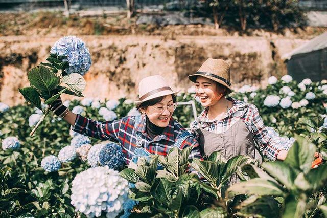 Không phải hoa hay quà, con trở về nhà mới là thứ mẹ mong
