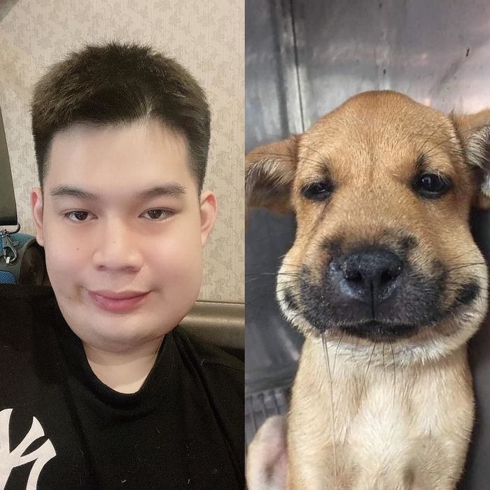 Sau gần 6 tháng trị u men xương hàm, Long Chun tự tin quay Tiktok