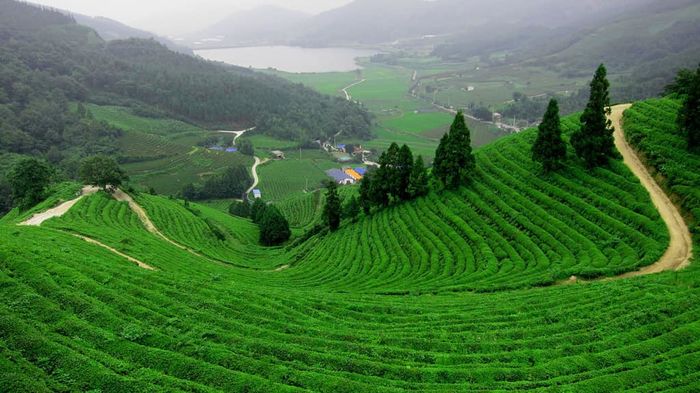 Khánh Vân lên đồ rực rỡ ngày đầu đến Mỹ: đi ăn sáng cũng phải đẹp