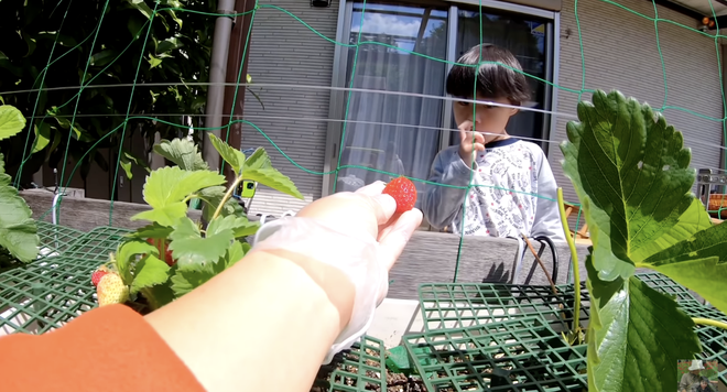 Quỳnh Trần JP gây tranh cãi vì để bé Sa chào cô chú giữa trời nắng