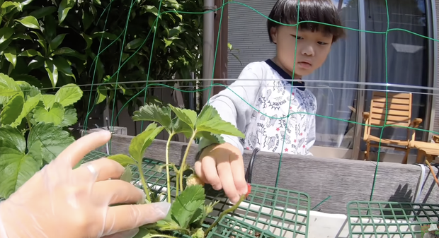 Quỳnh Trần JP gây tranh cãi vì để bé Sa chào cô chú giữa trời nắng