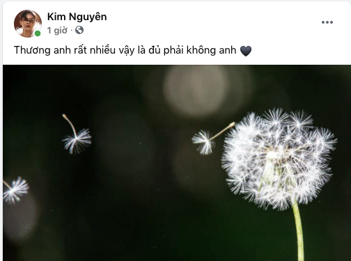 Võ Hạ Trâm và các sao Việt khóc thương, tiễn biệt NTK Nhật Dũng