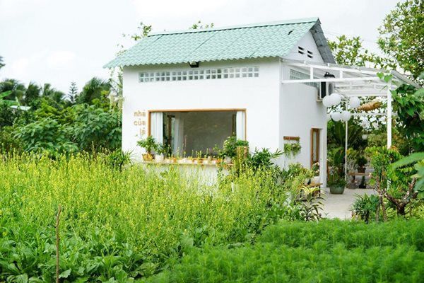 8x Tiền Giang biến nhà hoang thành nhà vườn cực đẹp, ai nhìn cũng mê