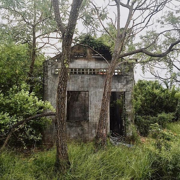8x Tiền Giang biến nhà hoang thành nhà vườn cực đẹp, ai nhìn cũng mê
