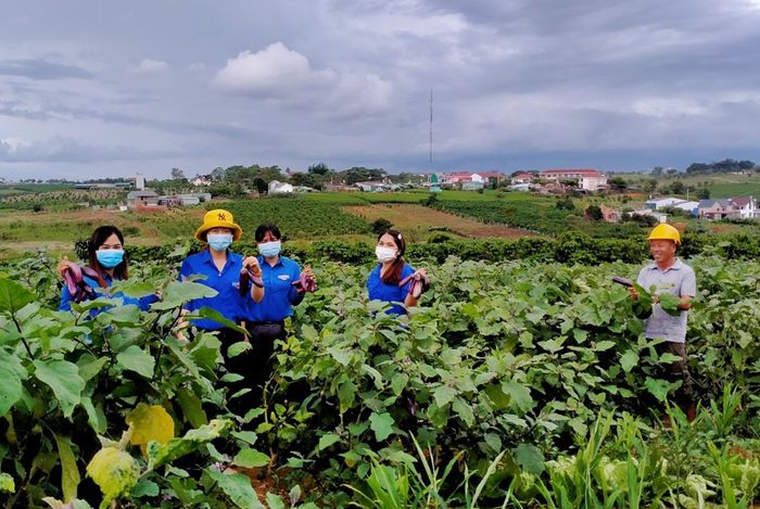 Các địa phương chung tay giúp Sài Gòn dập dịch: Hải Phòng hỗ trợ 10 tỷ