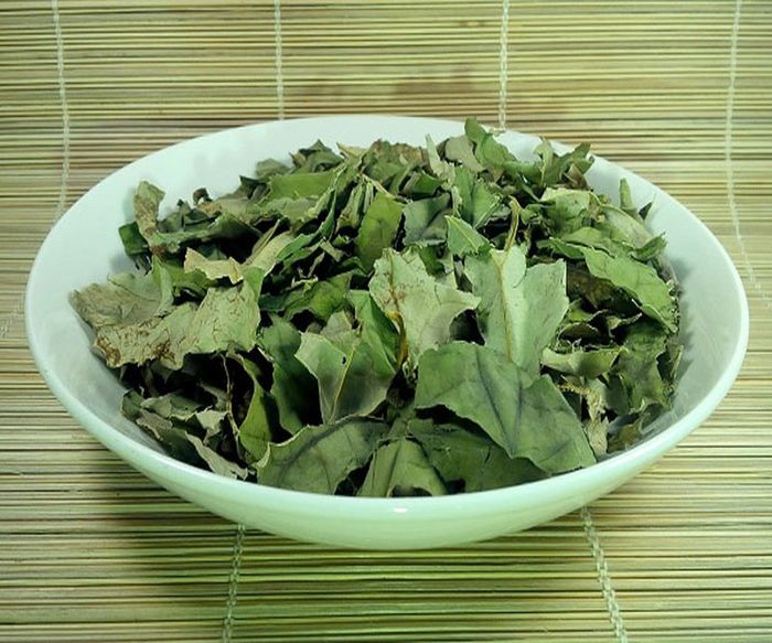 Các loại lá ở Việt Nam giá rẻ như cho, ra nước ngoài bán giá cao ngất