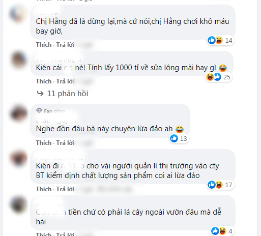 CĐM chia phe trước tin “streamer” Phương Hằng bị kiện 1000 tỷ
