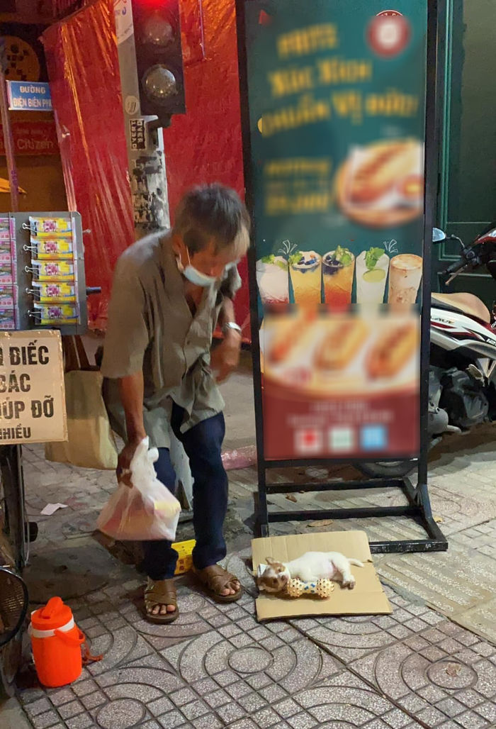 Chú chó may mắn nhất: được ông lão câm điếc chăm không thiếu thứ gì