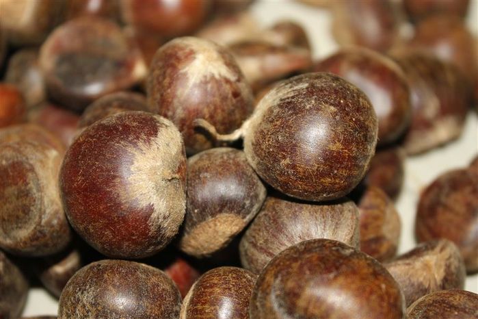 Chỉ mới nghỉ dịch được vài hôm Thu Trang đã tăng 2kg dù chỉ ăn hạt dẻ