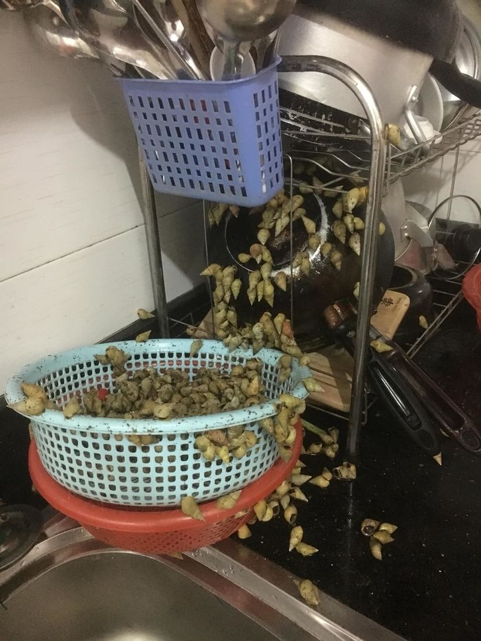 Cô vợ não cá vàng đi chợ về bỏ tiền trong tủ lạnh rồi tá hỏa đi tìm