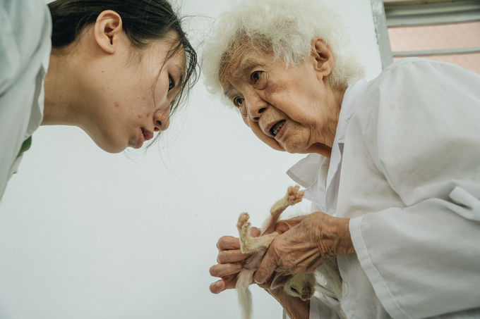 Cụ bà 88 tuổi mở phòng khám châm cứu miễn phí cho thú cưng